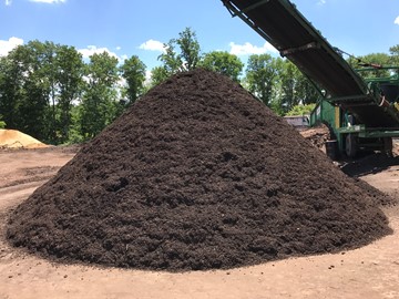 compost pile 