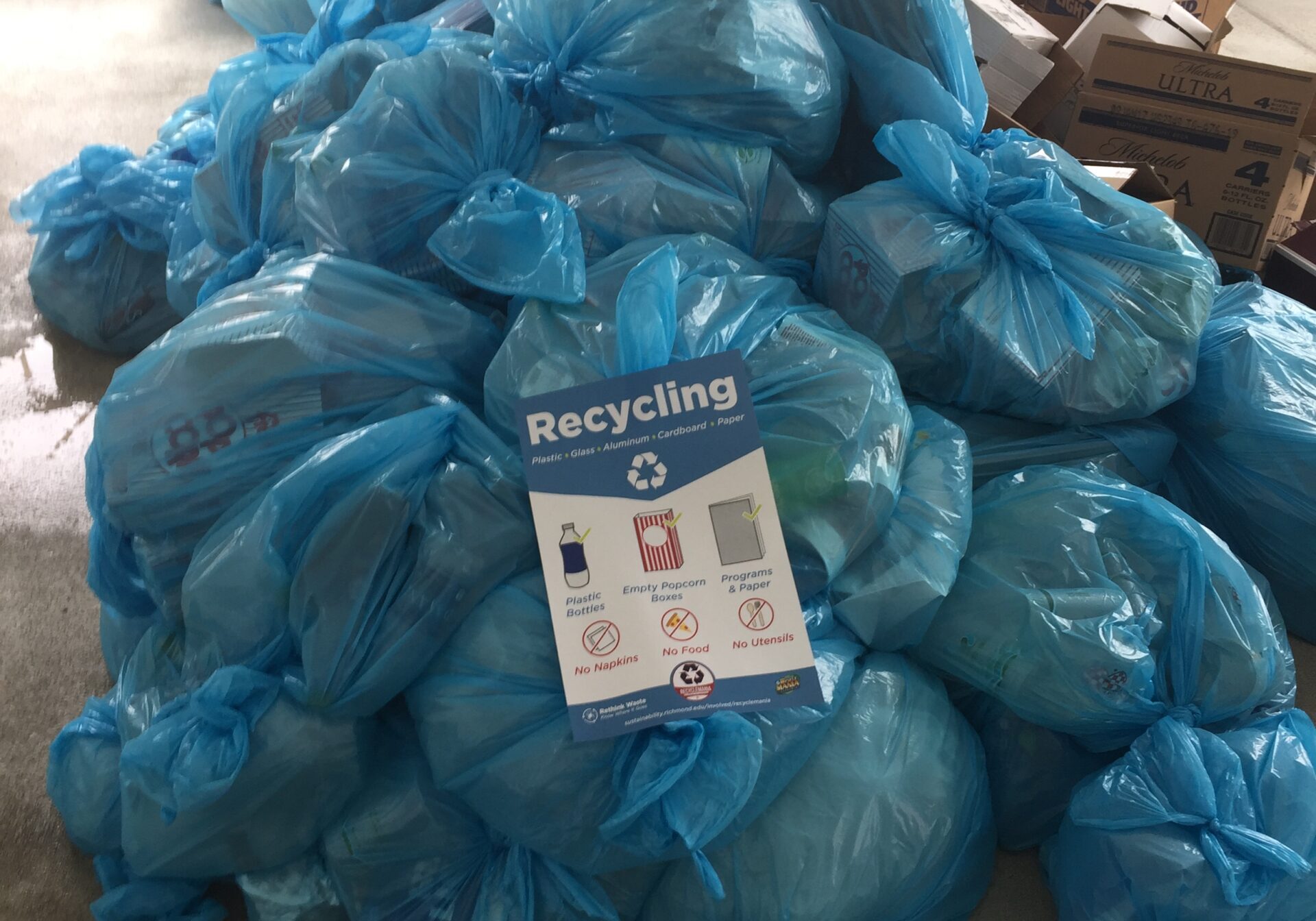 waste sort case study blue bags recycling
